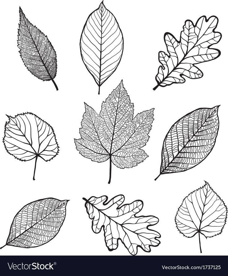 Oak Tree Tattoo Ideas 0088