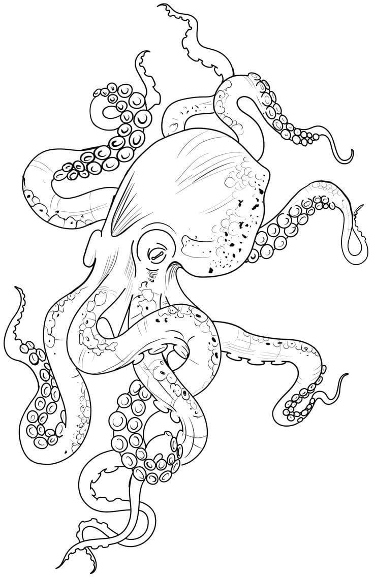 octopus tattoo ideas for deep meaning