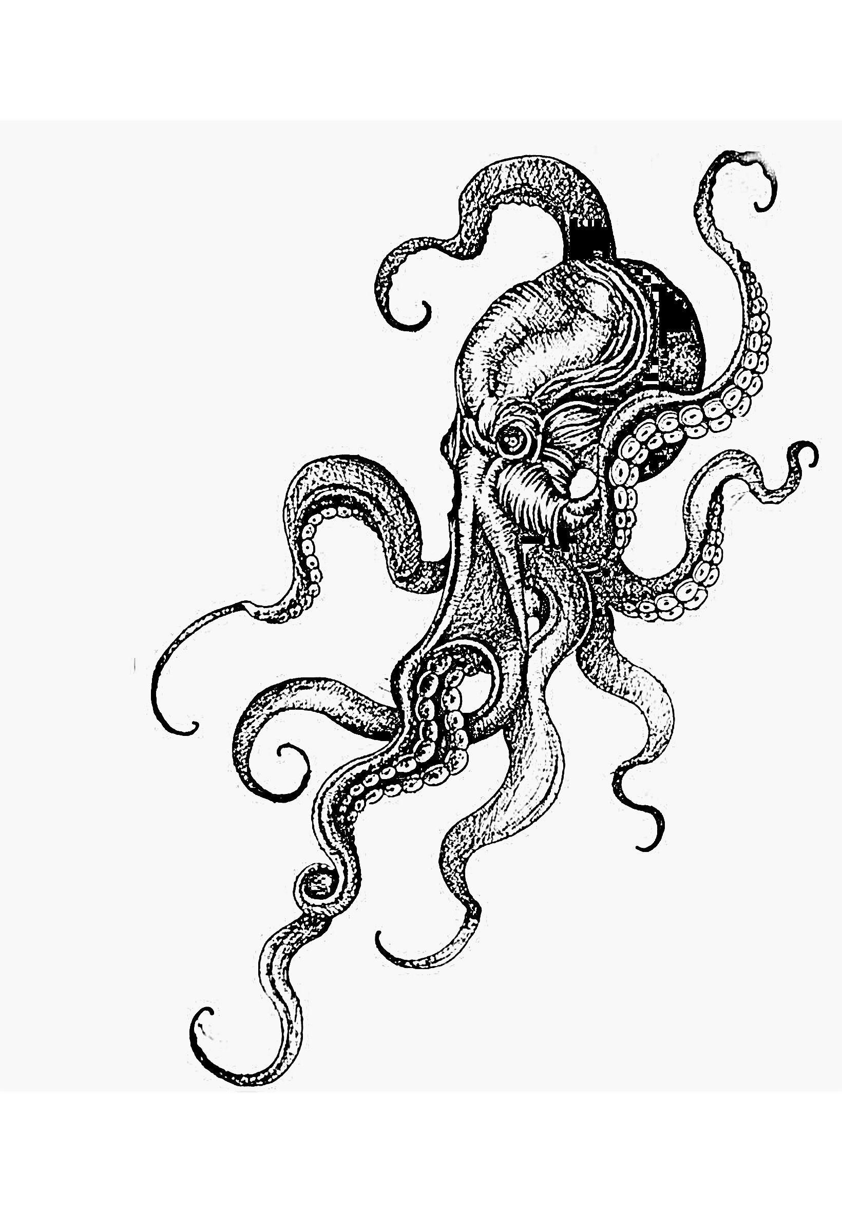 octopus tattoo ideas for women