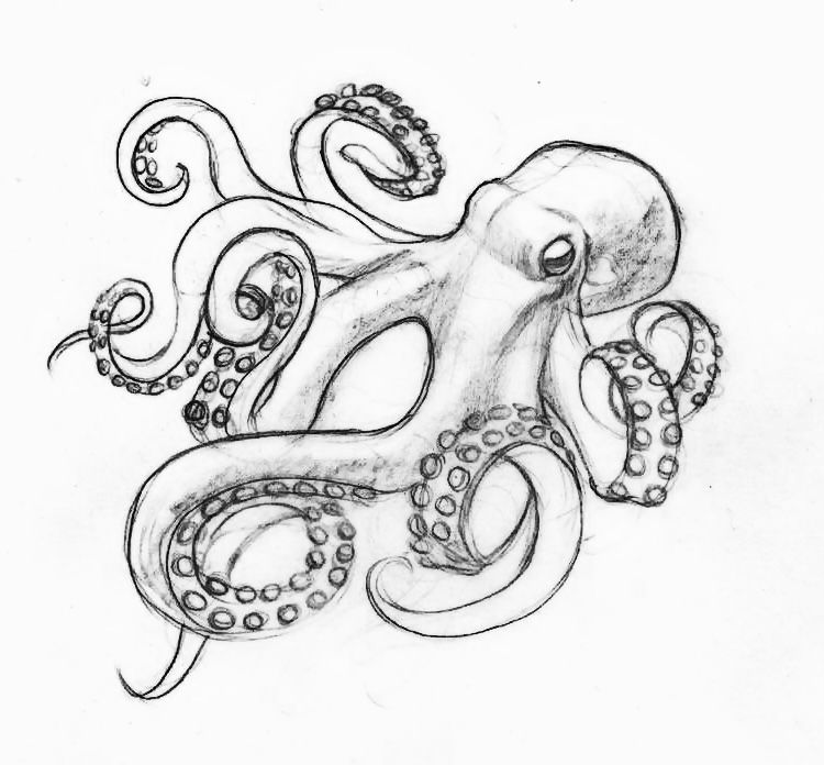 octopus tattoo ideas 0022