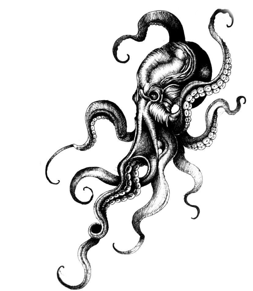 octopus tattoo ideas 0027