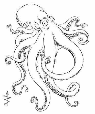 octopus tattoo ideas 0033