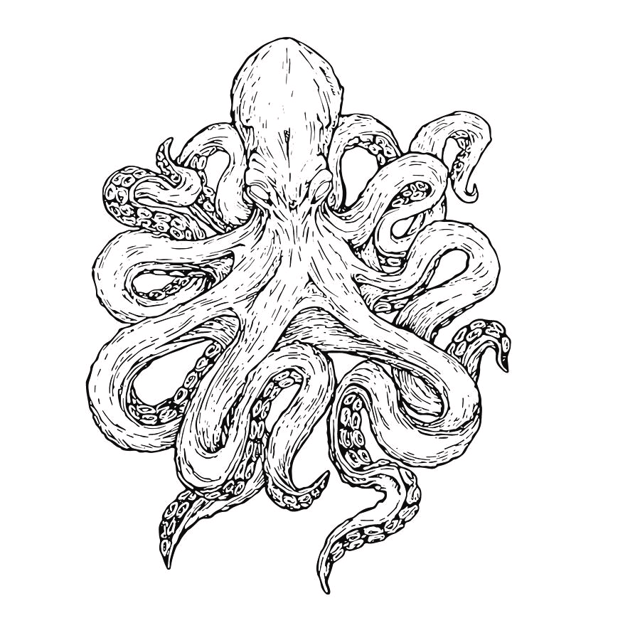 octopus tattoo ideas 0038