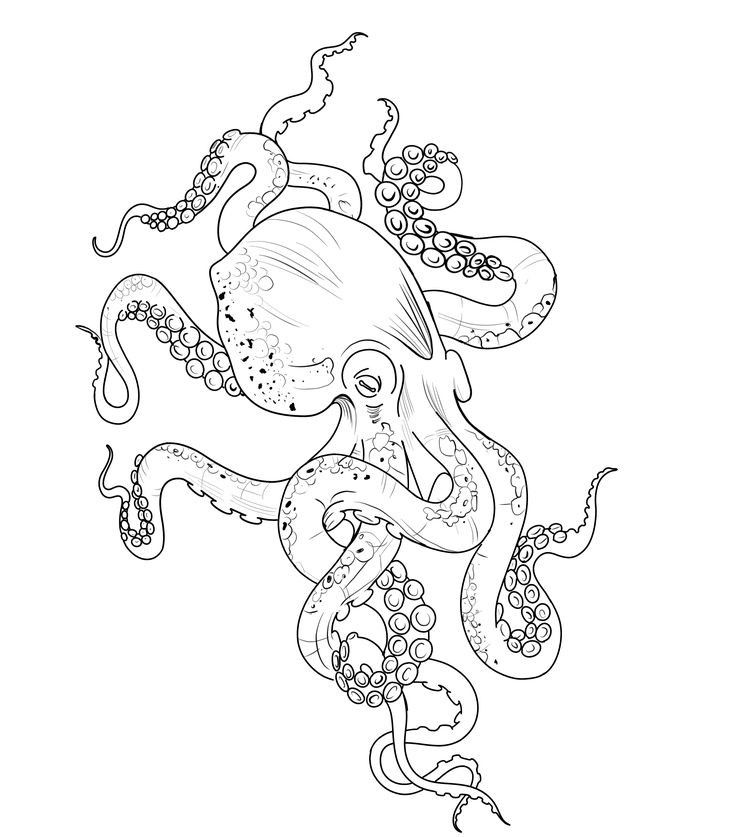 octopus tattoo ideas 0045