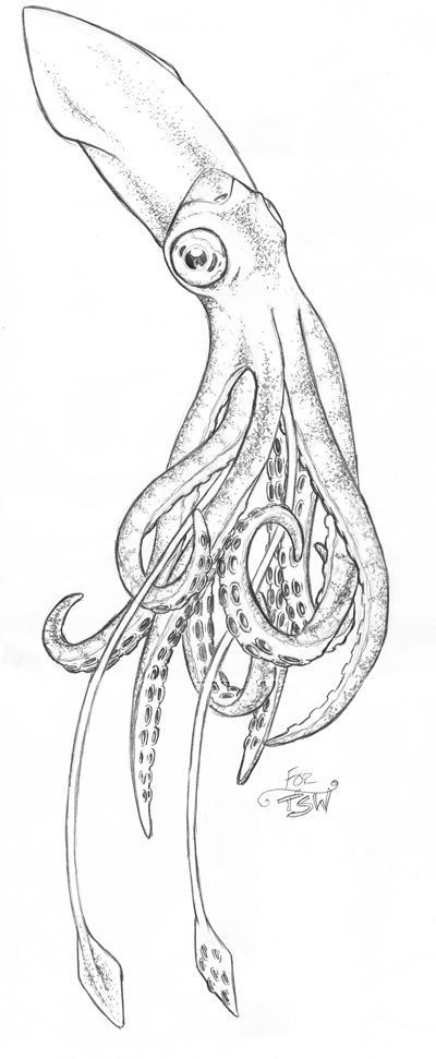 octopus tattoo ideas 0058