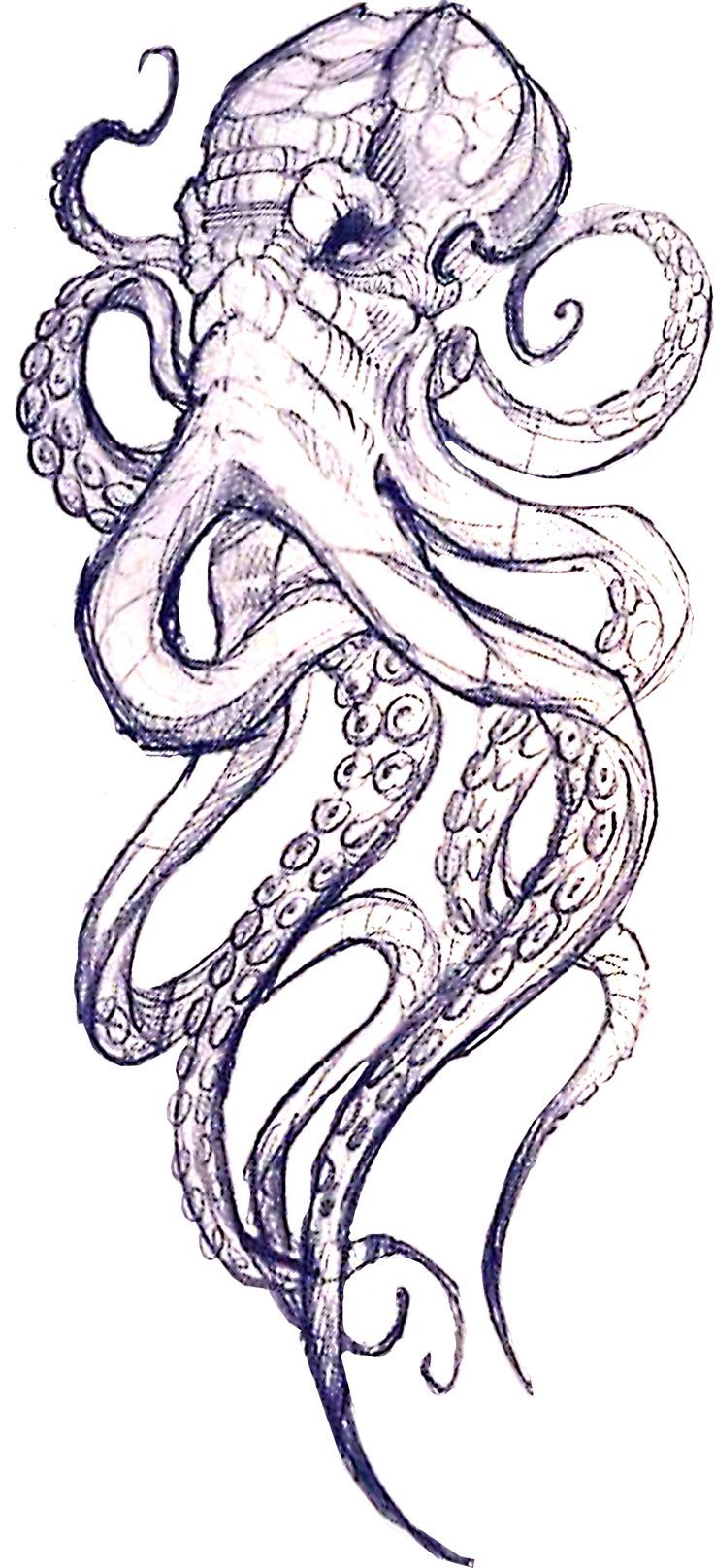 octopus tattoo ideas 0067