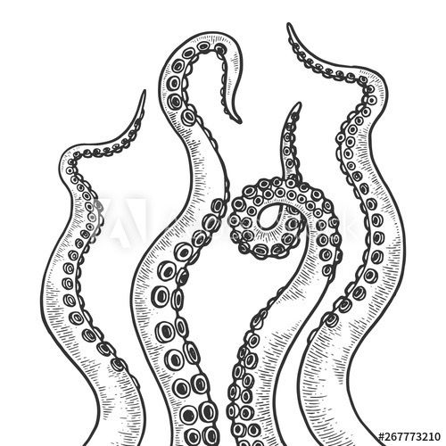 octopus tattoo ideas 0073