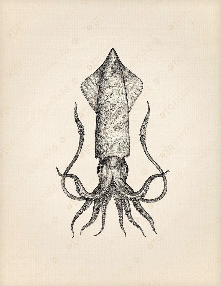 octopus tattoo ideas 0079