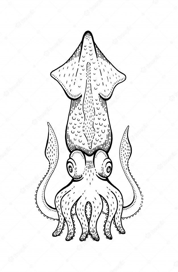 octopus tattoo ideas 0080