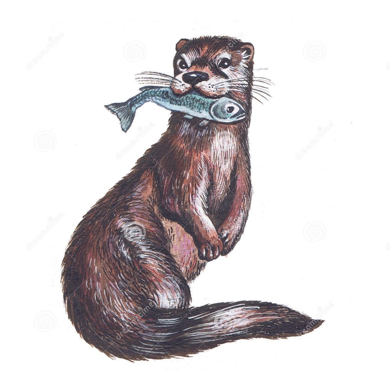 Otter Tattoo Ideas 0019