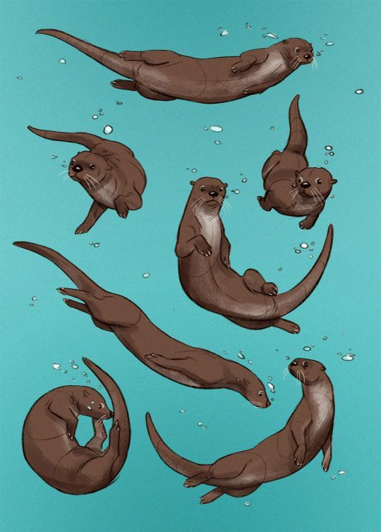 Otter Tattoo Ideas 0020