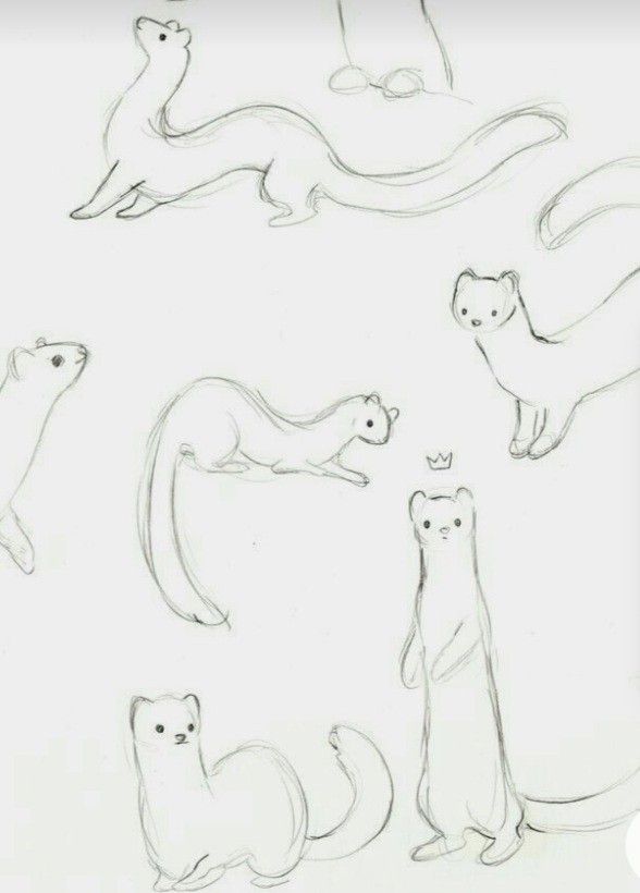 Otter Tattoo Ideas 0022