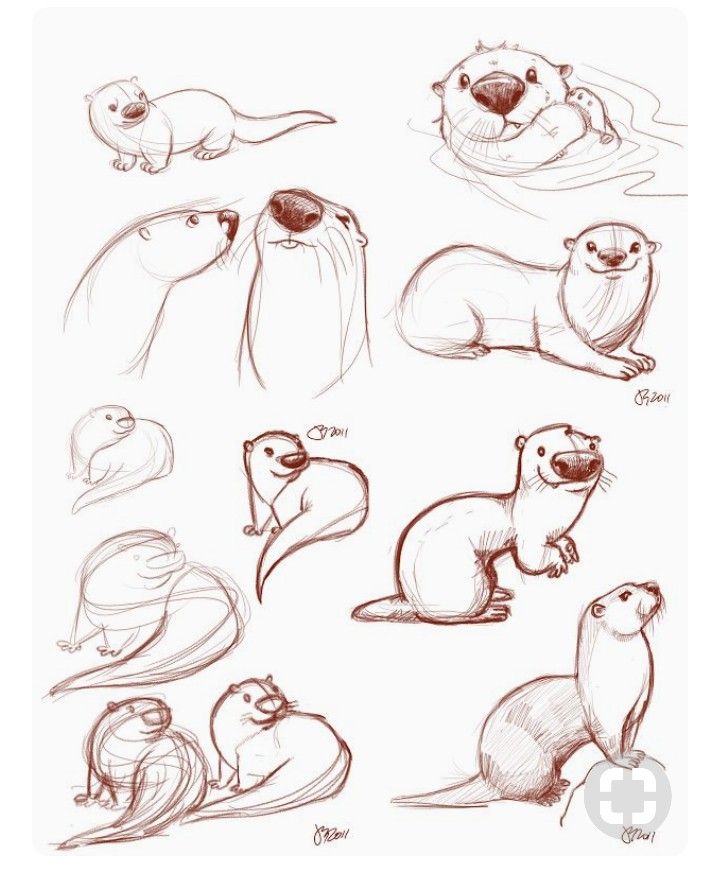 Otter Tattoo Ideas 0062