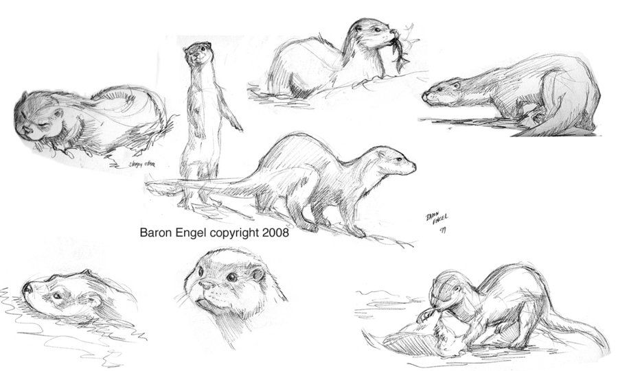 Otter Tattoo Ideas 0080