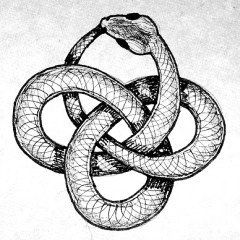 Ouroboros Tattoo Ideas 0045