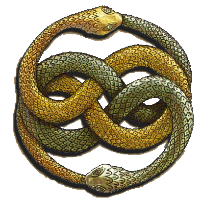 Ouroboros Tattoo Ideas 0048