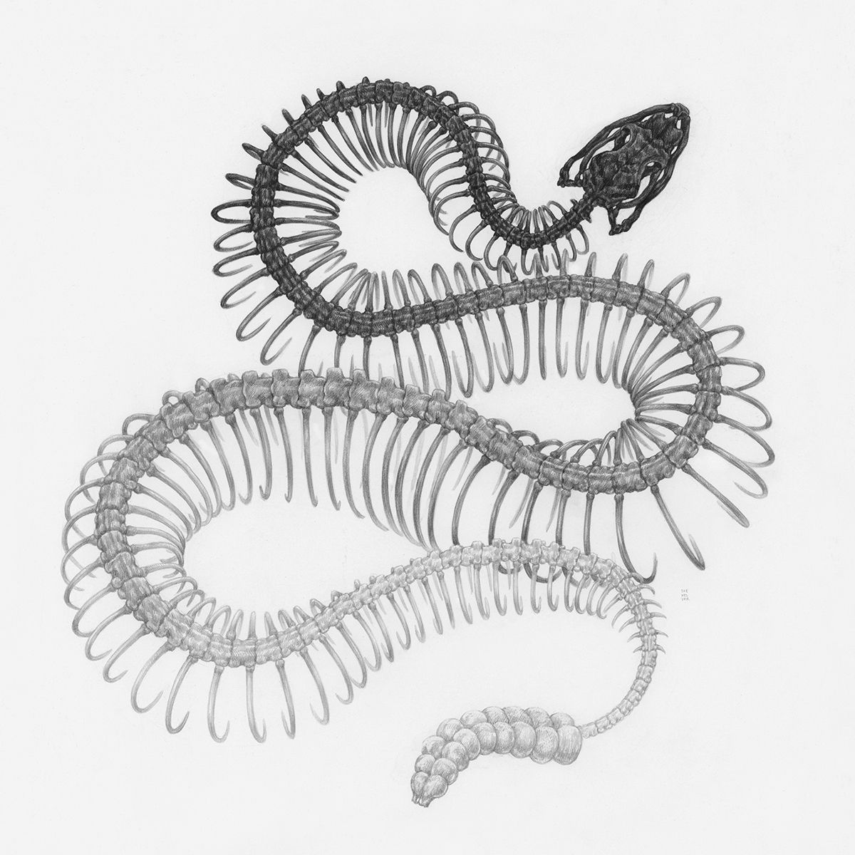 Ouroboros Tattoo Ideas 0058