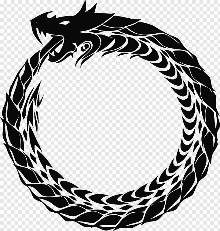 Ouroboros Tattoo Ideas 0065