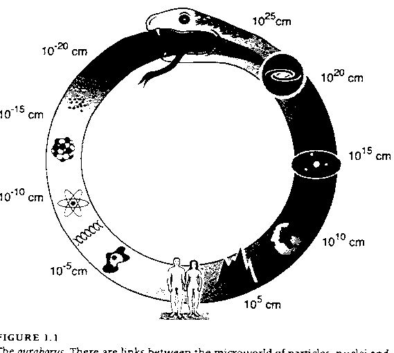 Ouroboros Tattoo Ideas 0094