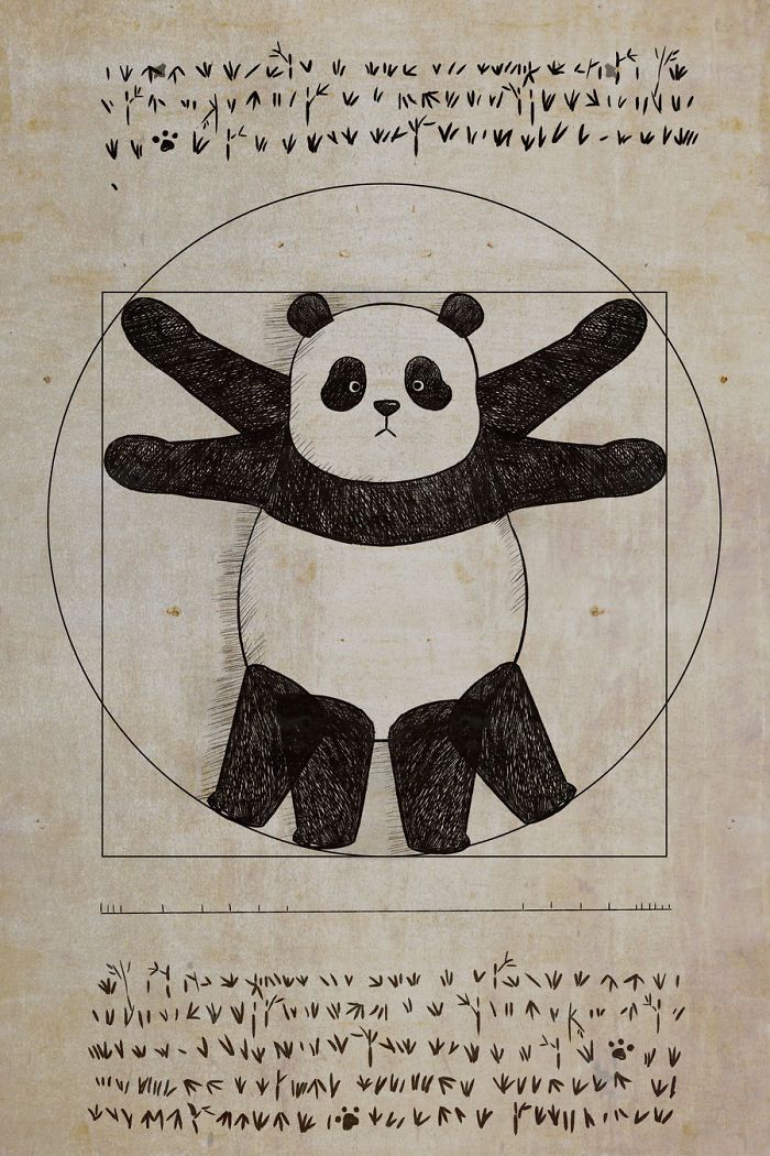 Panda Bear Tattoo Ideas 0036