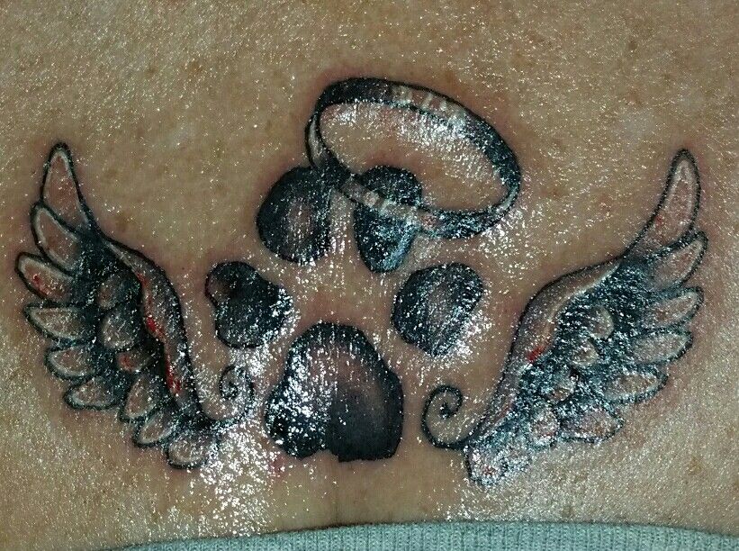 passed away small cat memorial tattoo 0023