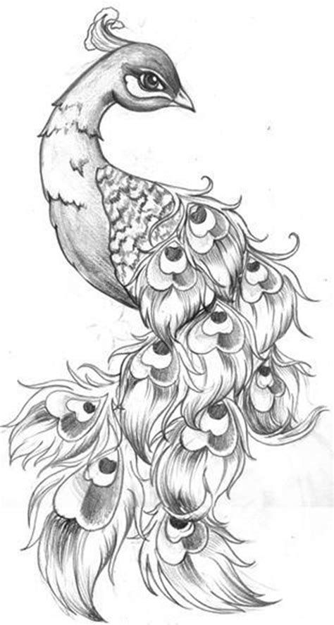 peacock tattoo design ideas