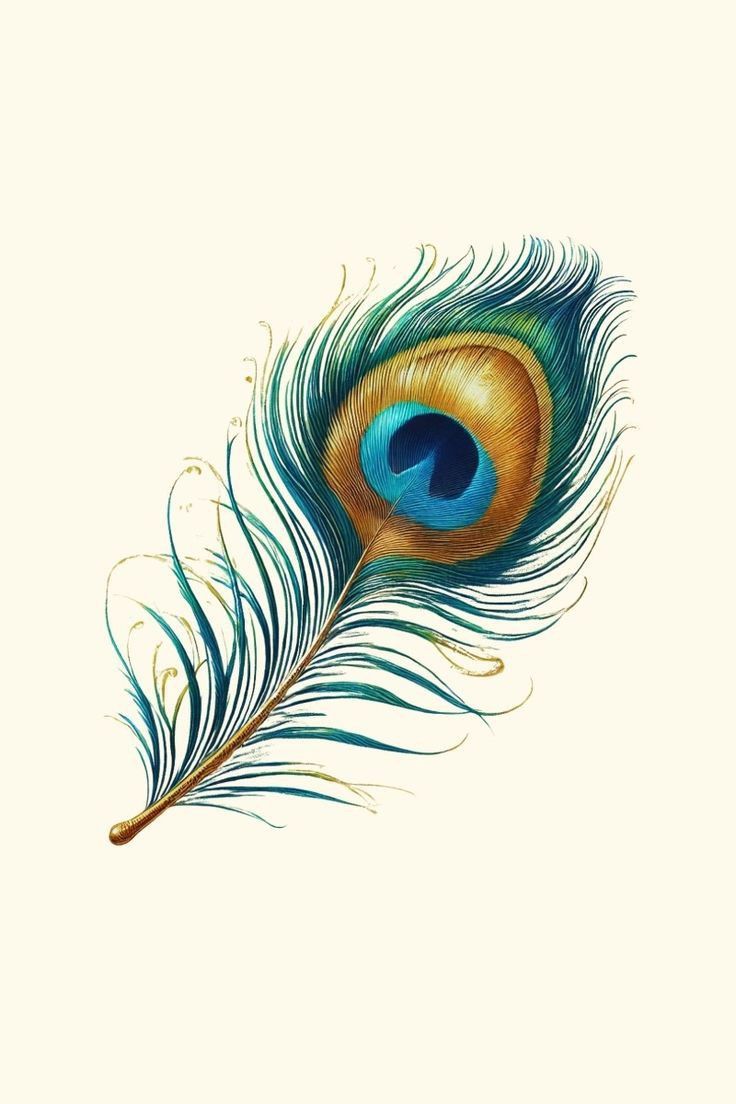 peacock tattoo ideas 0010