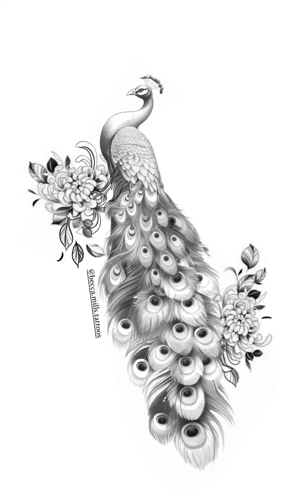 peacock tattoo ideas 0018