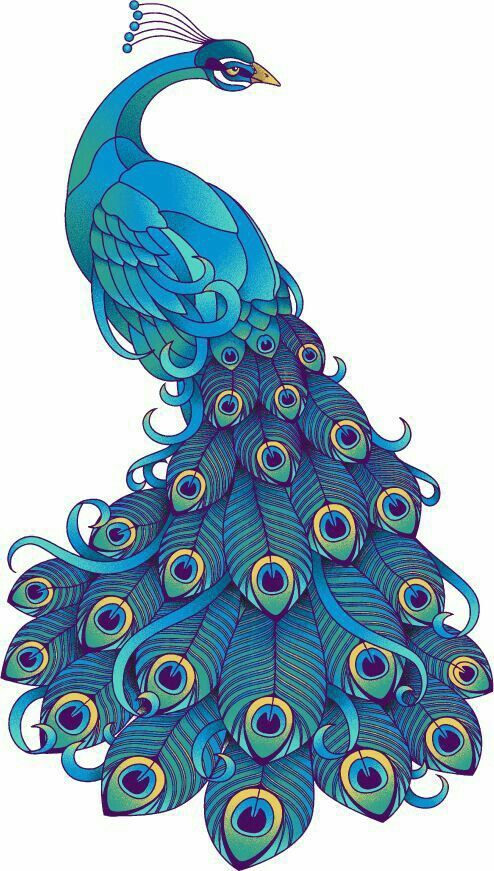 peacock tattoo ideas 0025