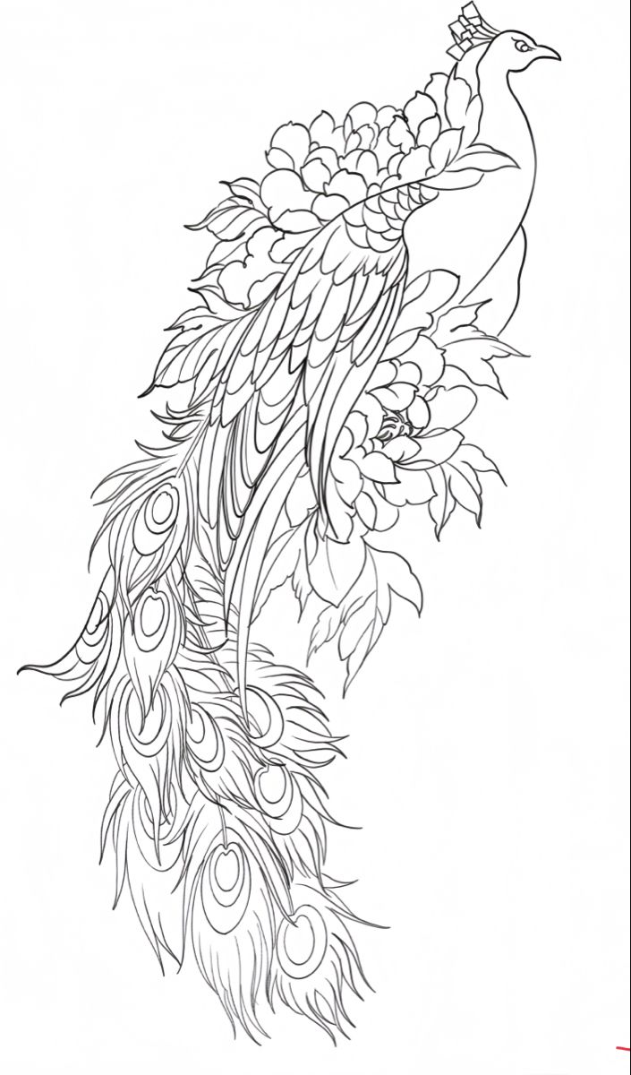 peacock tattoo ideas 0029