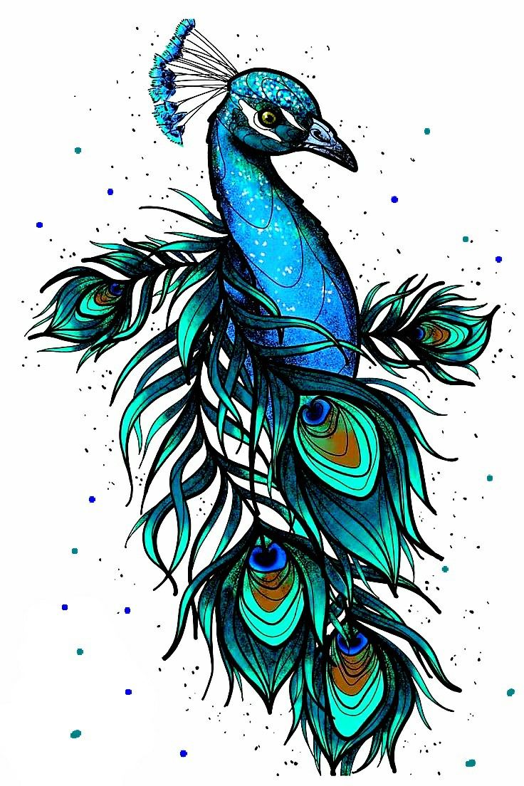 peacock tattoo ideas 0031