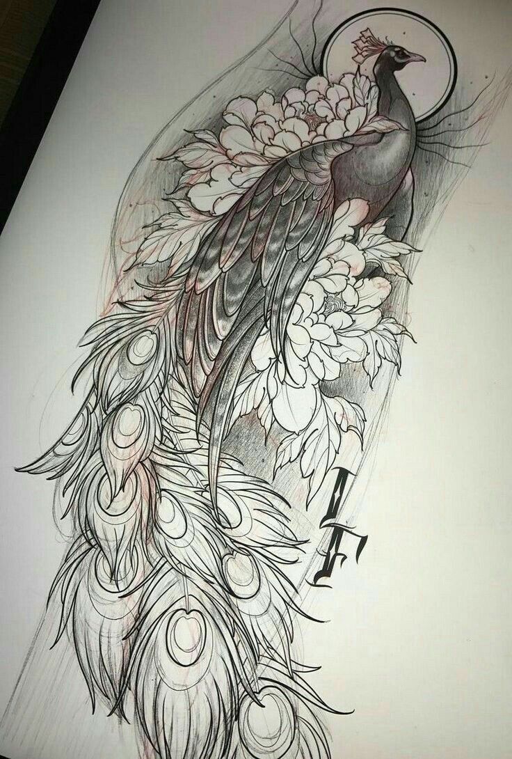 peacock tattoo ideas 0035