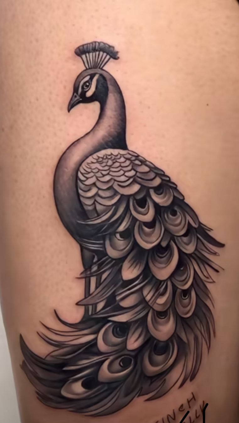 peacock tattoo ideas 0036