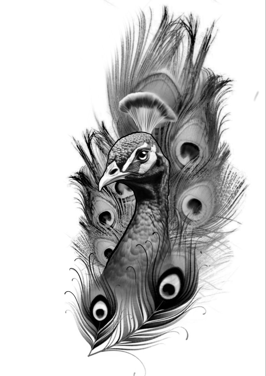 peacock tattoo ideas 0037