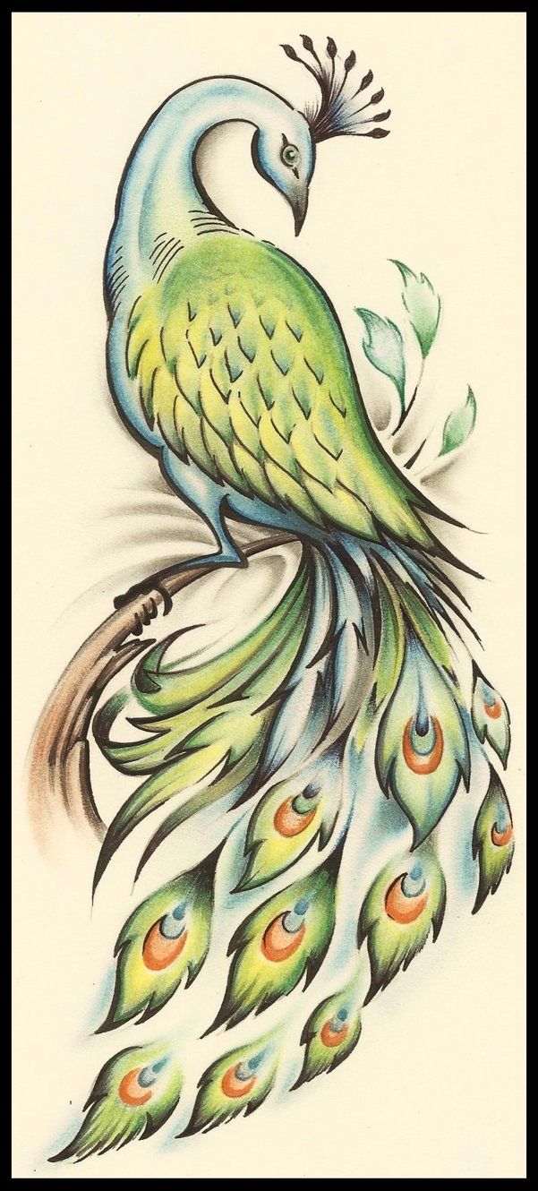 peacock tattoo ideas 0067