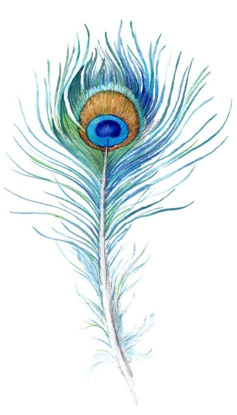 peacock tattoo ideas 0076