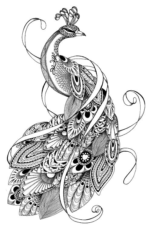 peacock tattoo ideas 0084