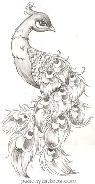 peacock tattoo ideas 0087