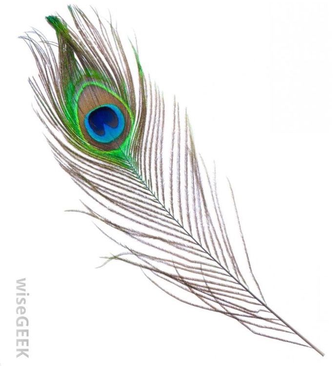 peacock tattoo ideas 0095