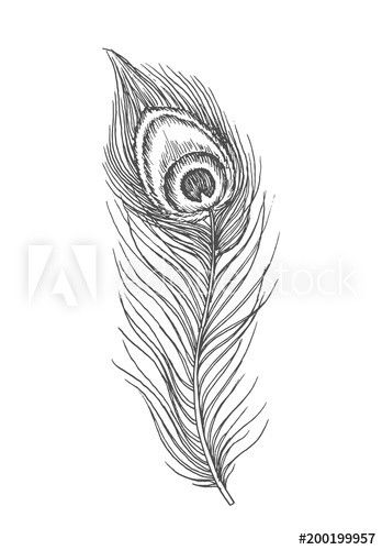 peacock tattoo ideas 0096