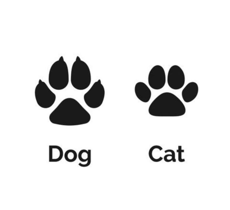 personalized cat paw print tattoo variations