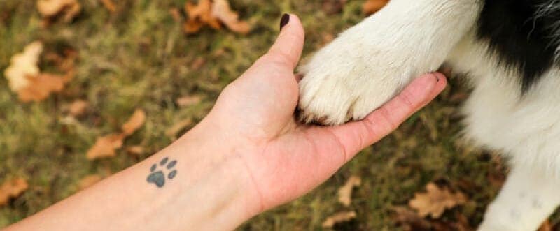 pet memorial tattoo ideas 0041