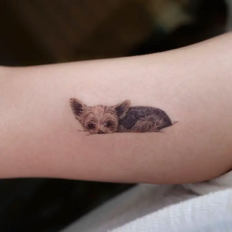 pet memorial tattoo ideas 0060