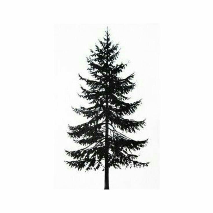 Pine Tree Tattoo Ideas 0012