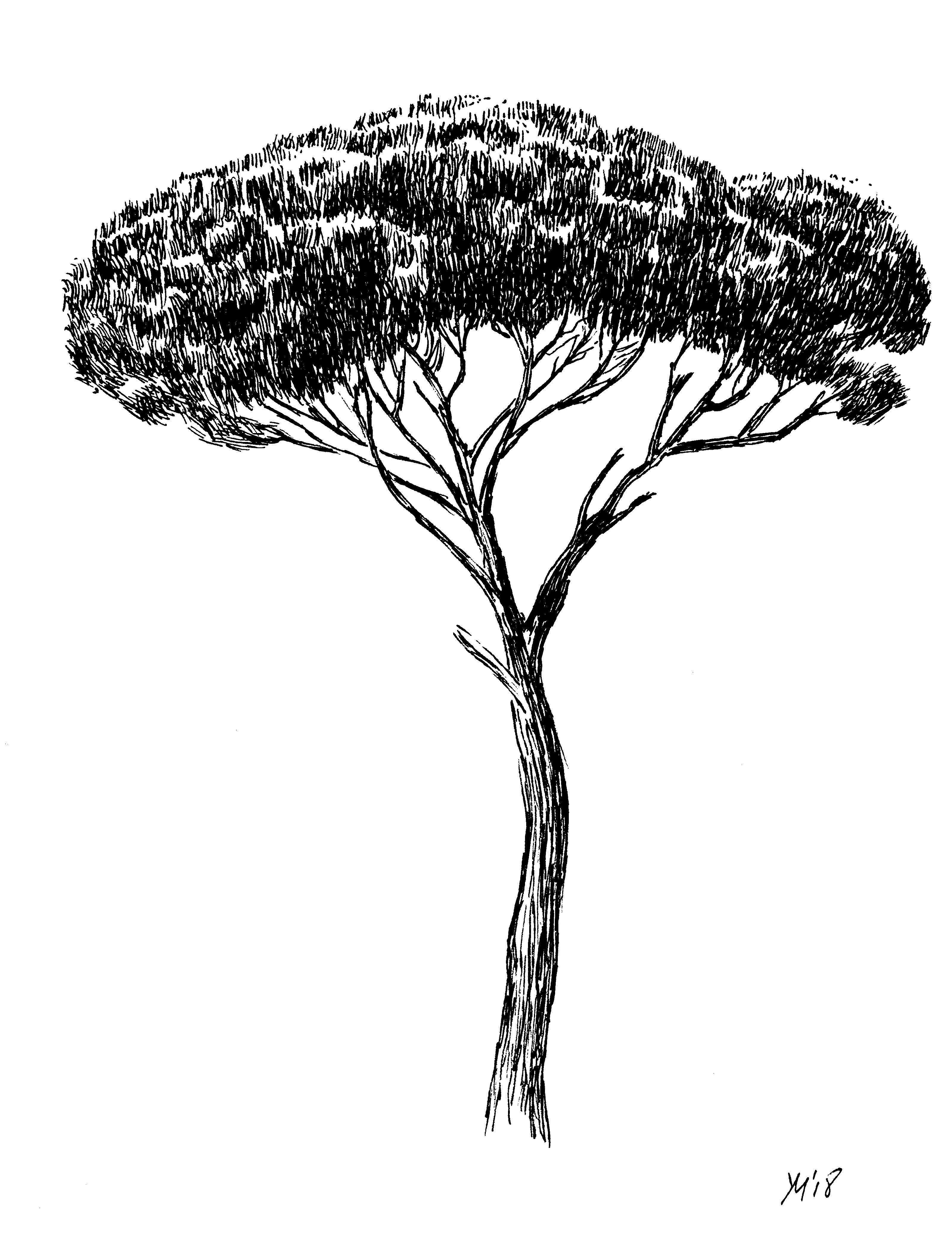 Pine Tree Tattoo Ideas 0015