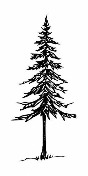 Pine Tree Tattoo Ideas 0021