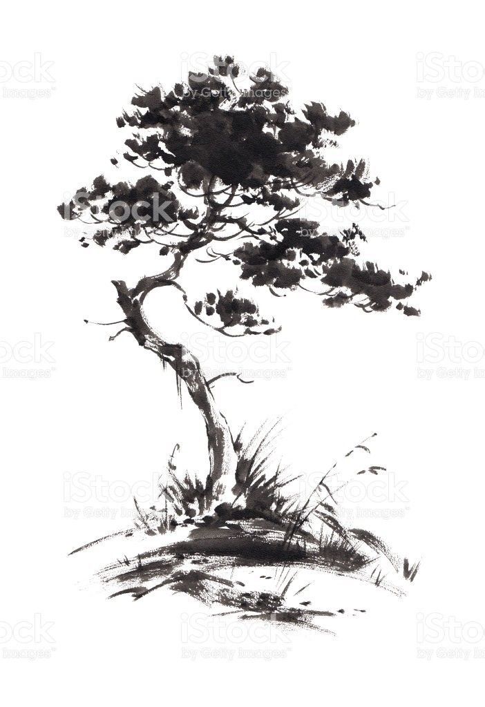 Pine Tree Tattoo Ideas 0025