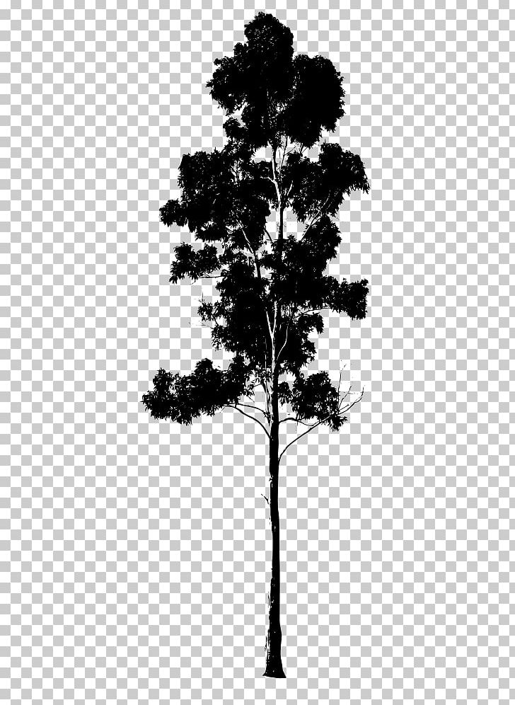 Pine Tree Tattoo Ideas 0030