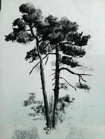 Pine Tree Tattoo Ideas 0036