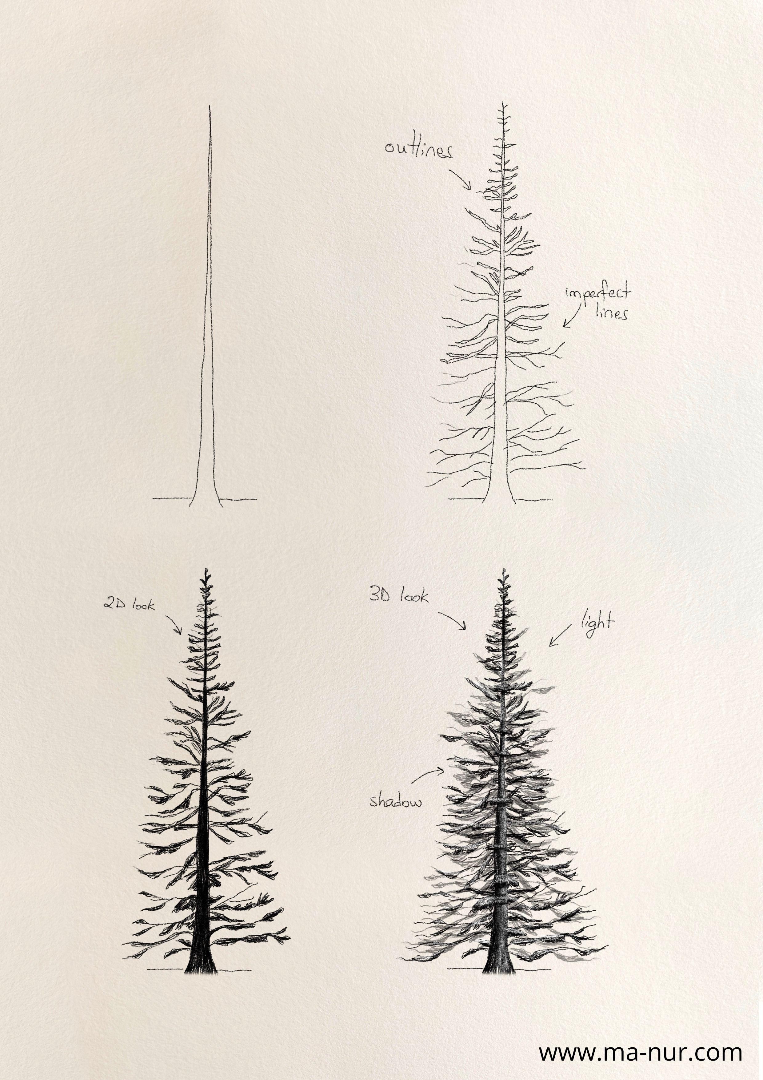 Pine Tree Tattoo Ideas 0041